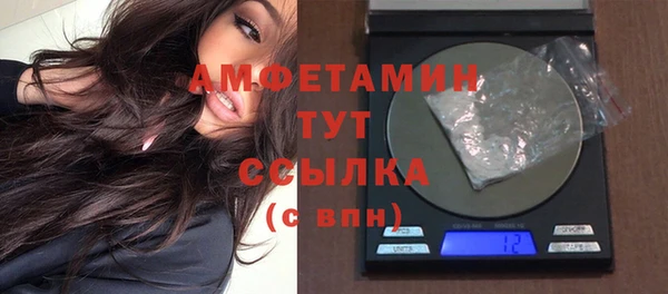 дмт Алзамай