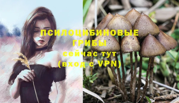 прущая мука Алексеевка