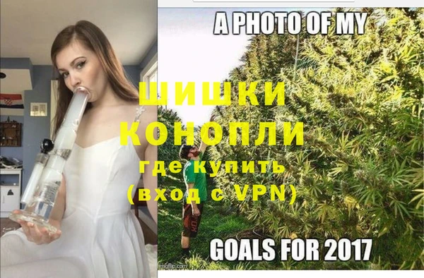 дмт Алзамай