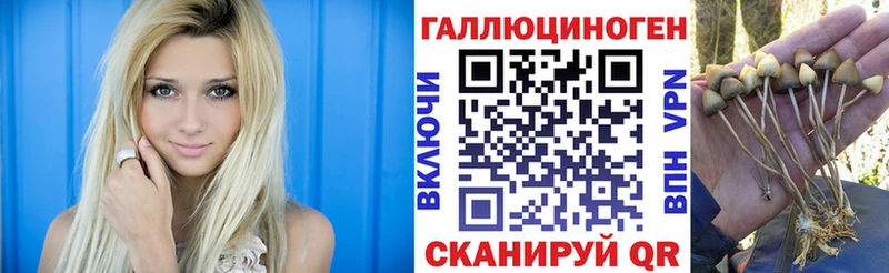 где найти   Катав-Ивановск  mega рабочий сайт  нарко площадка официальный сайт  Псилоцибиновые грибы Cubensis 