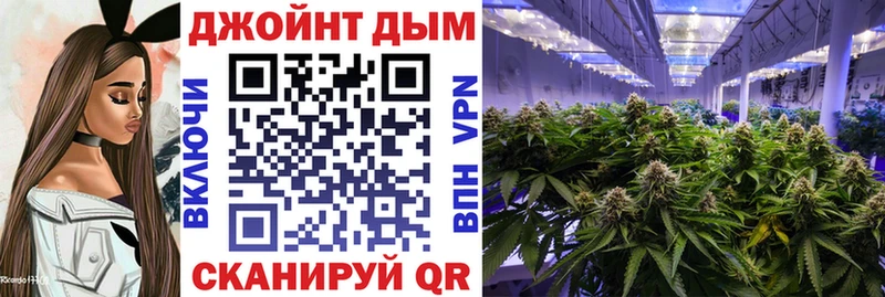 Бошки Шишки Amnesia  Катав-Ивановск 